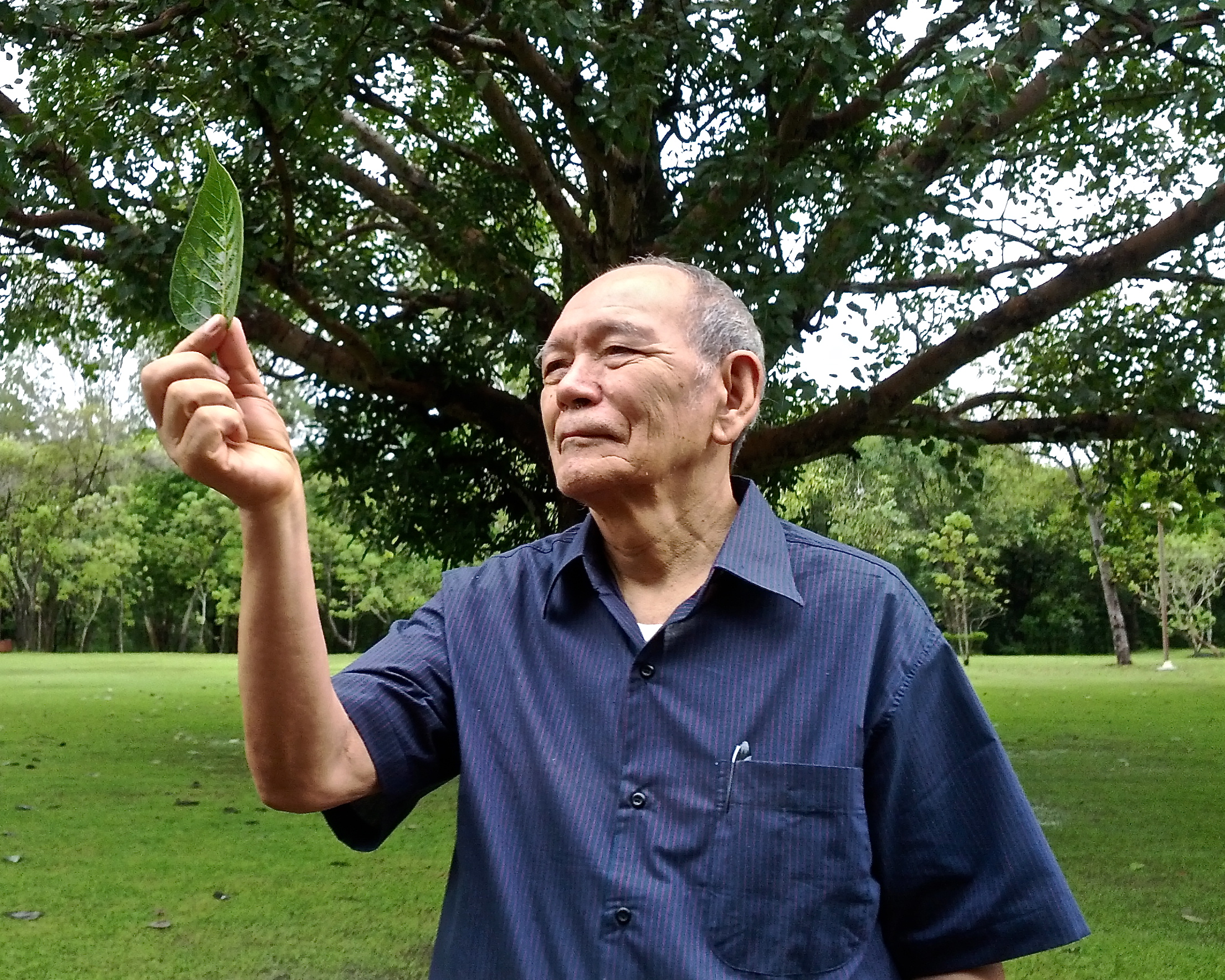 Geshe Jamspal with a bodhi leaf in Thailand.